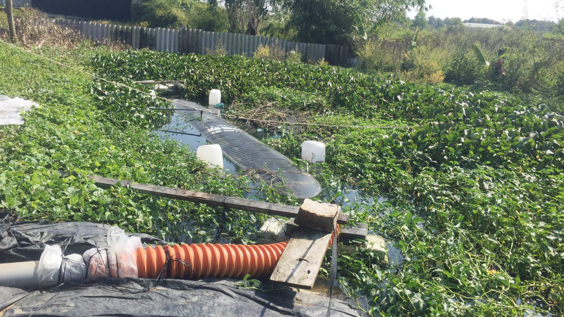 Túi biogas chuyên dụng Ưu điểm, hướng dẫn sử dụng và lợi ích kinh tế Túi biogas chuyên dụng Ưu điểm, hướng dẫn sử dụng và lợi ích kinh tế