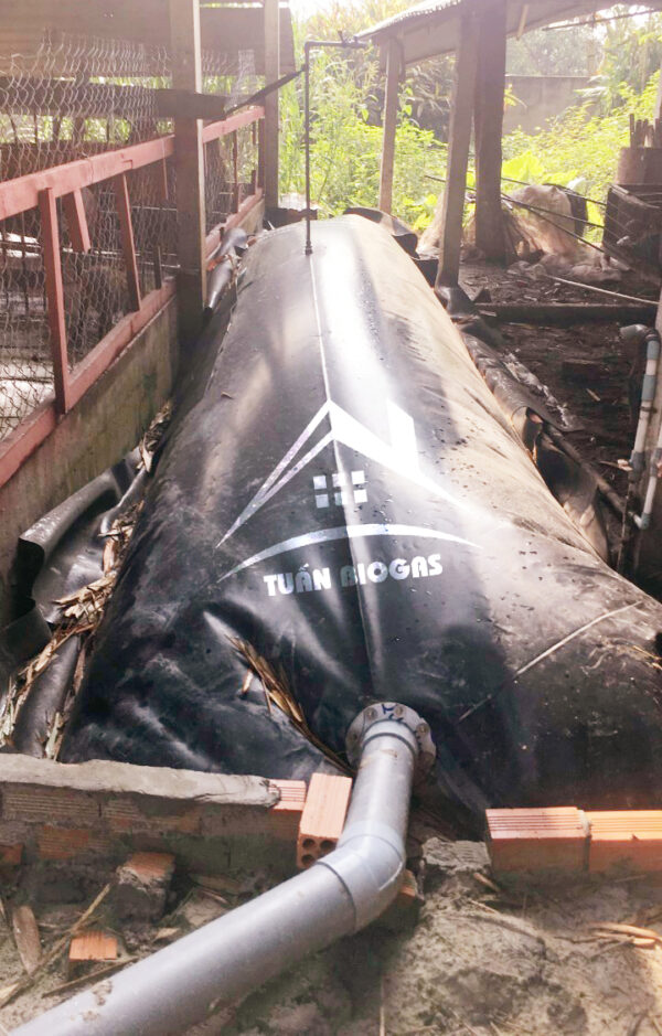 Túi biogas giải quyết tận gốc ô nhiễm | Có gas sau 15 ngày lắp đặt