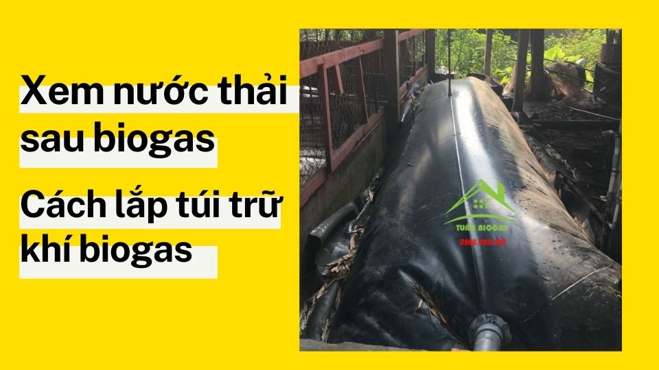 Nước thải sau biogas và cách lắp túi trữ khí