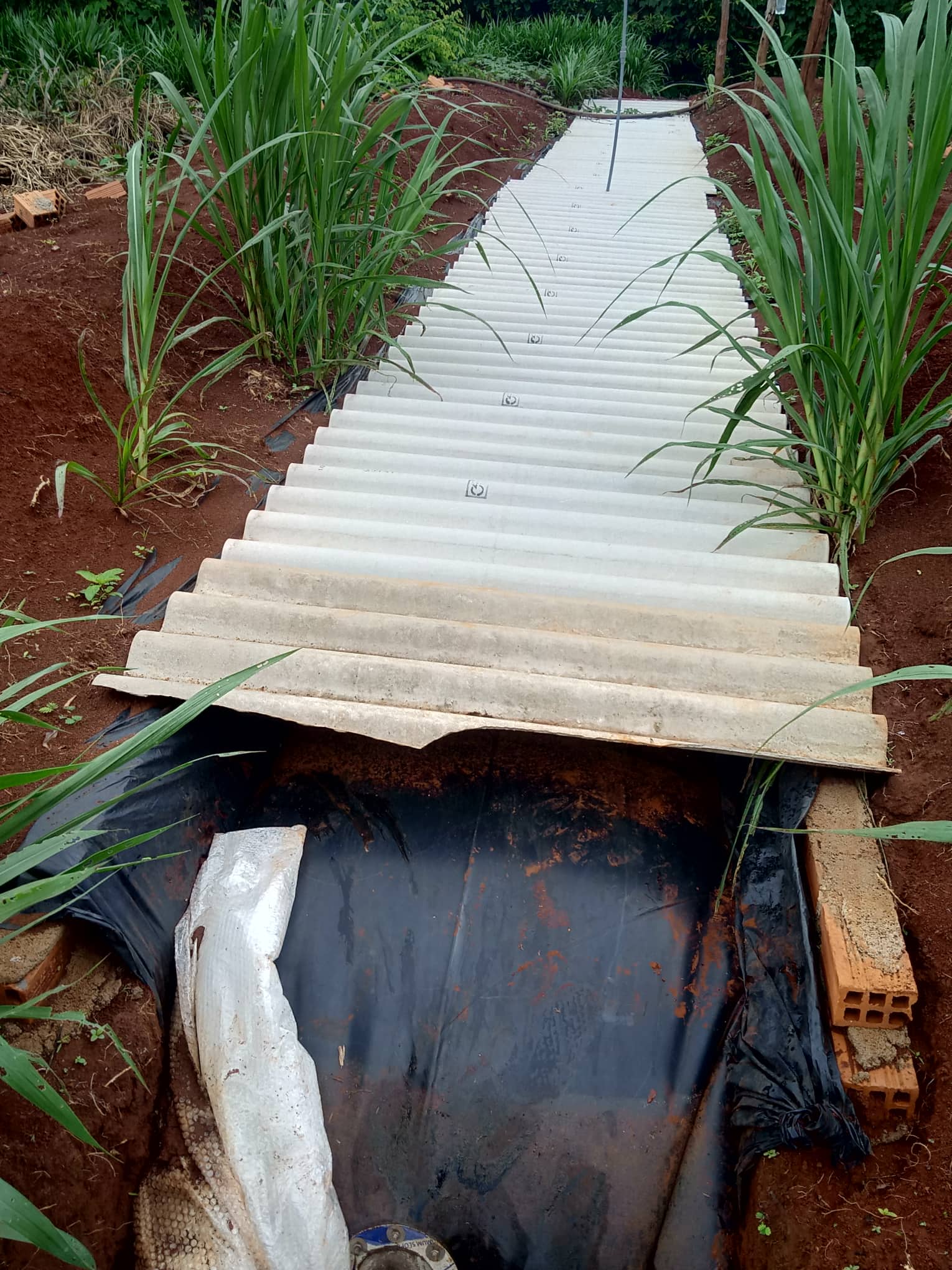 Che phủ cho túi biogas