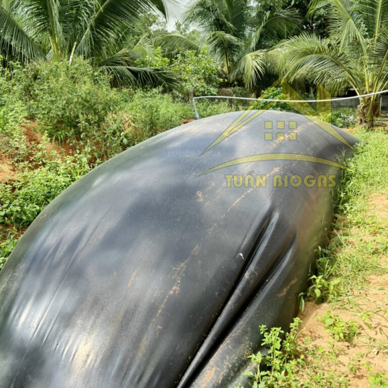Túi biogas giải quyết tận gốc ô nhiễm 2024| Có gas sau 15 ngày lắp đặt.