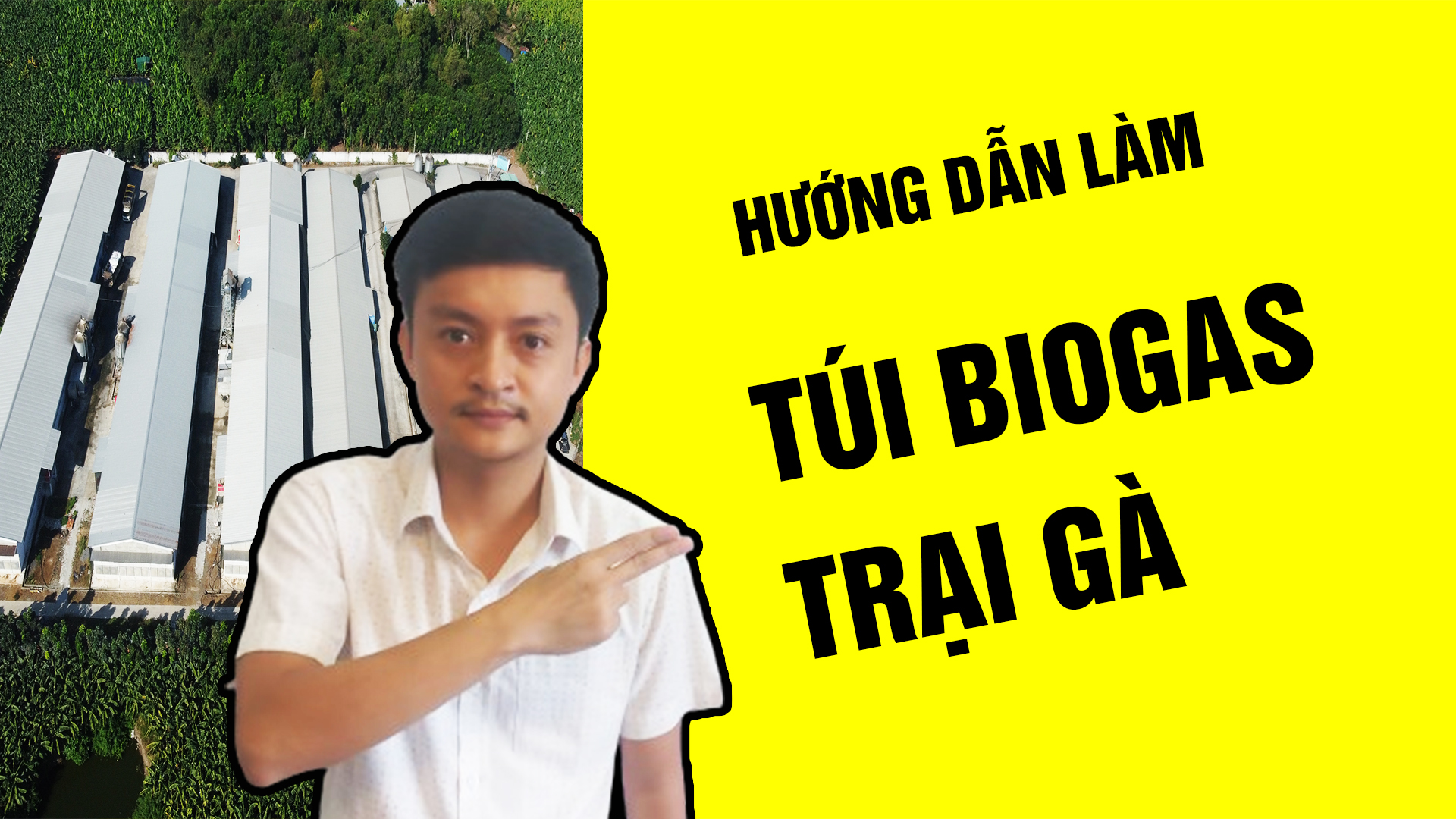 Túi biogas trại gà