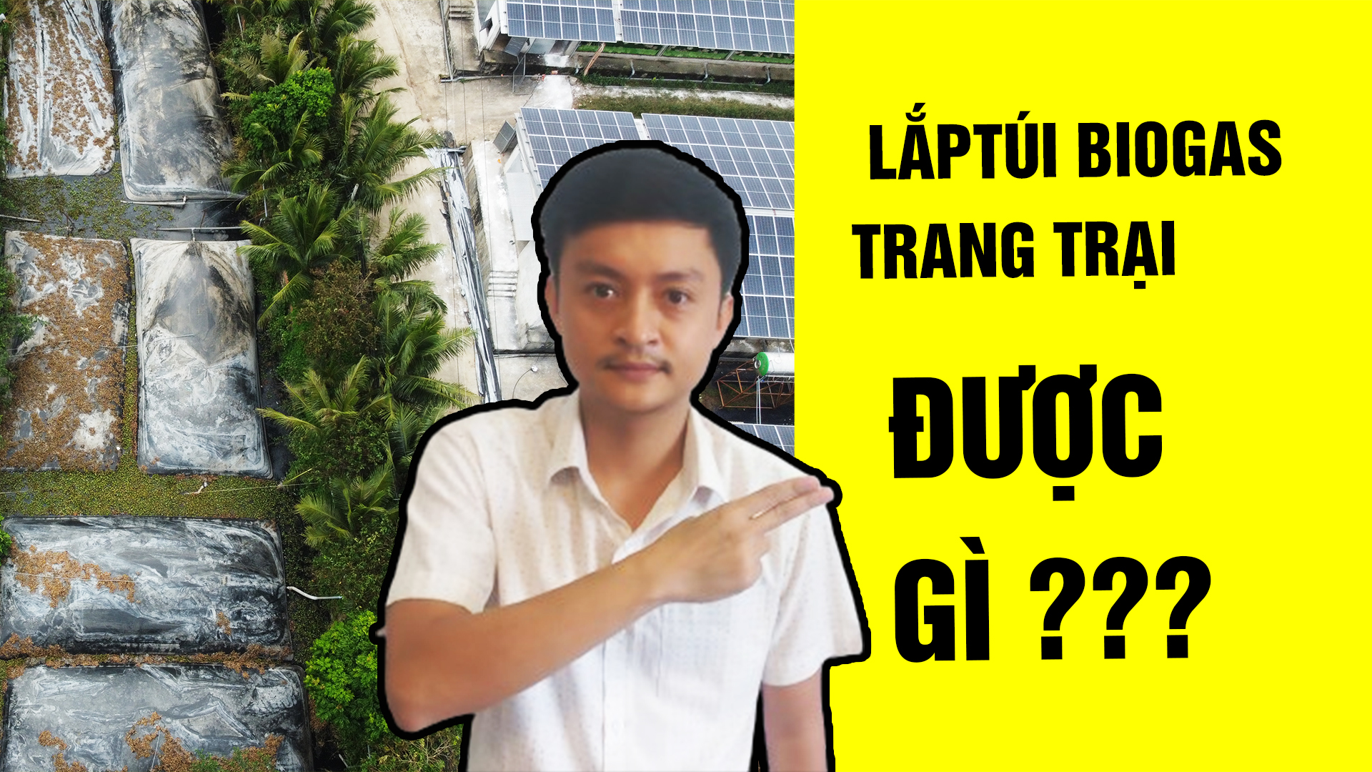 lắp túi biogas trang trại được gì