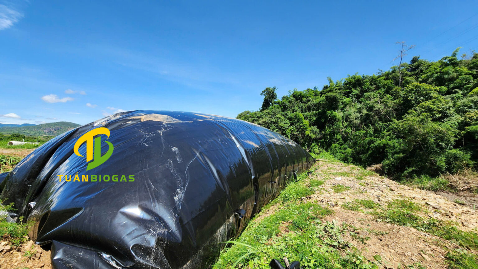 10 câu hỏi được tìm nhiều nhất về Túi Biogas Tuấn Bioga | Giả đáp