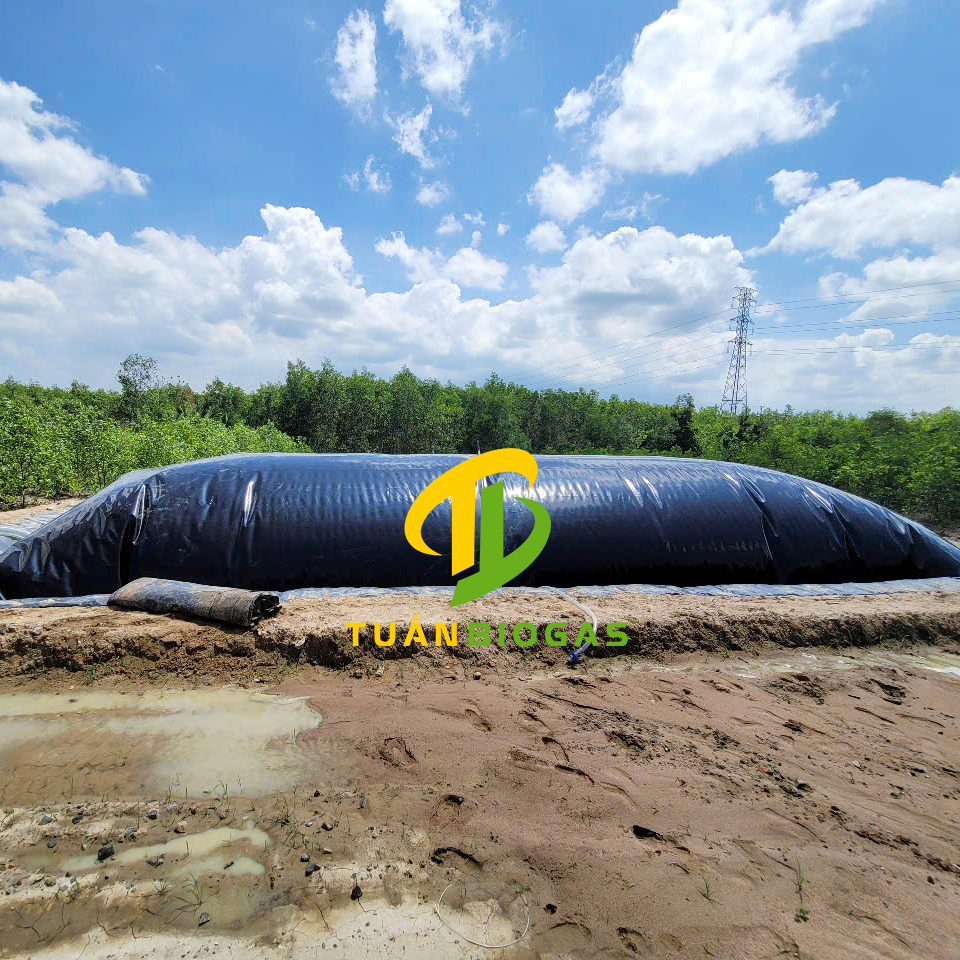 công ty thi công hầm biogas bằng túi biogas bạt