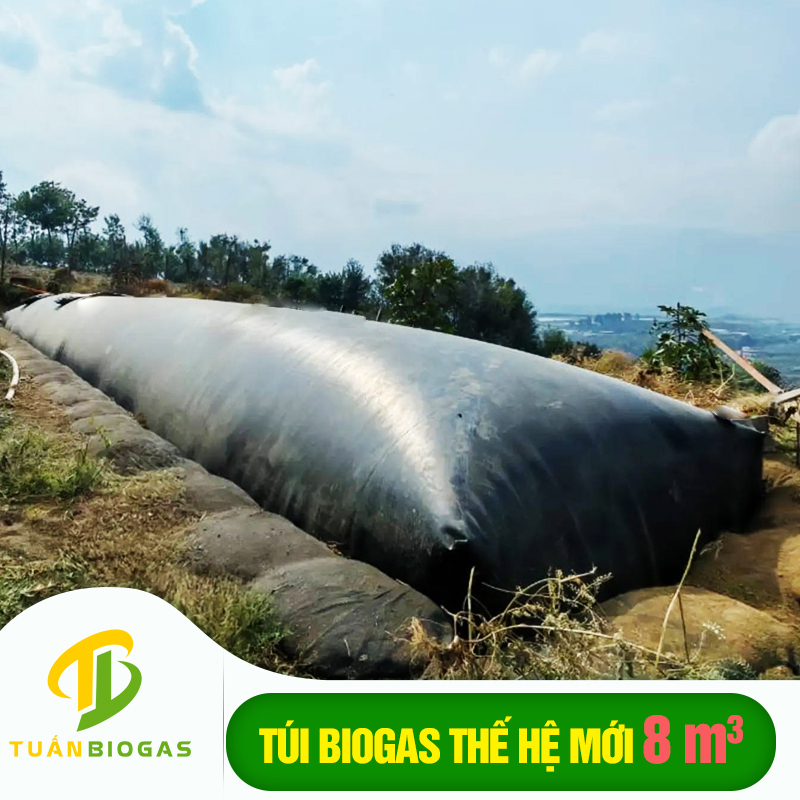 Túi biogas 8 khối 20 heo Tuấn Biogas giá 5.200.000đ kích thước hố 2m x 8m