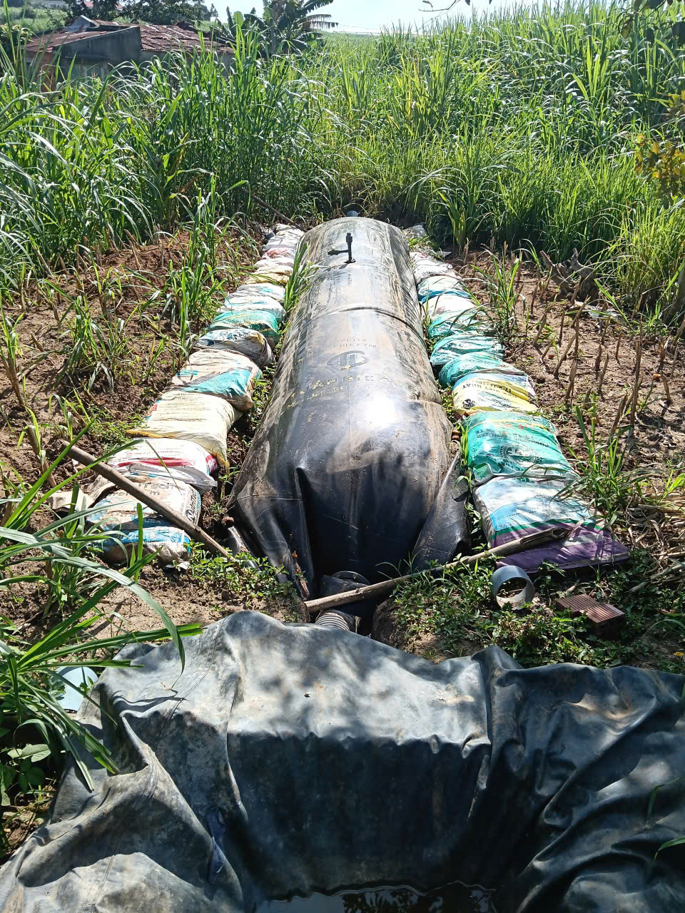 Nguyên lý và cấu tạo túi biogas