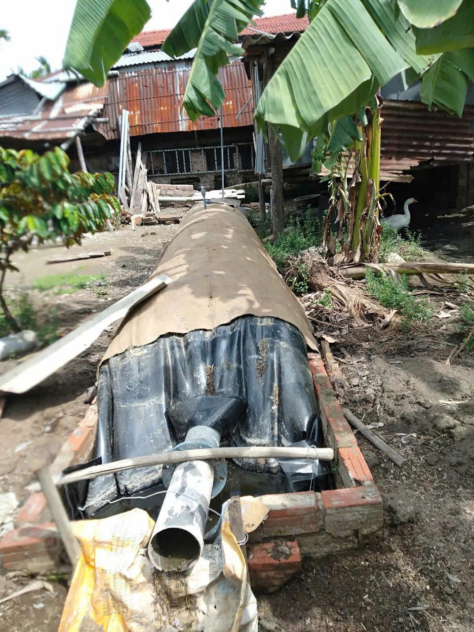 đầu ra túi biogas
