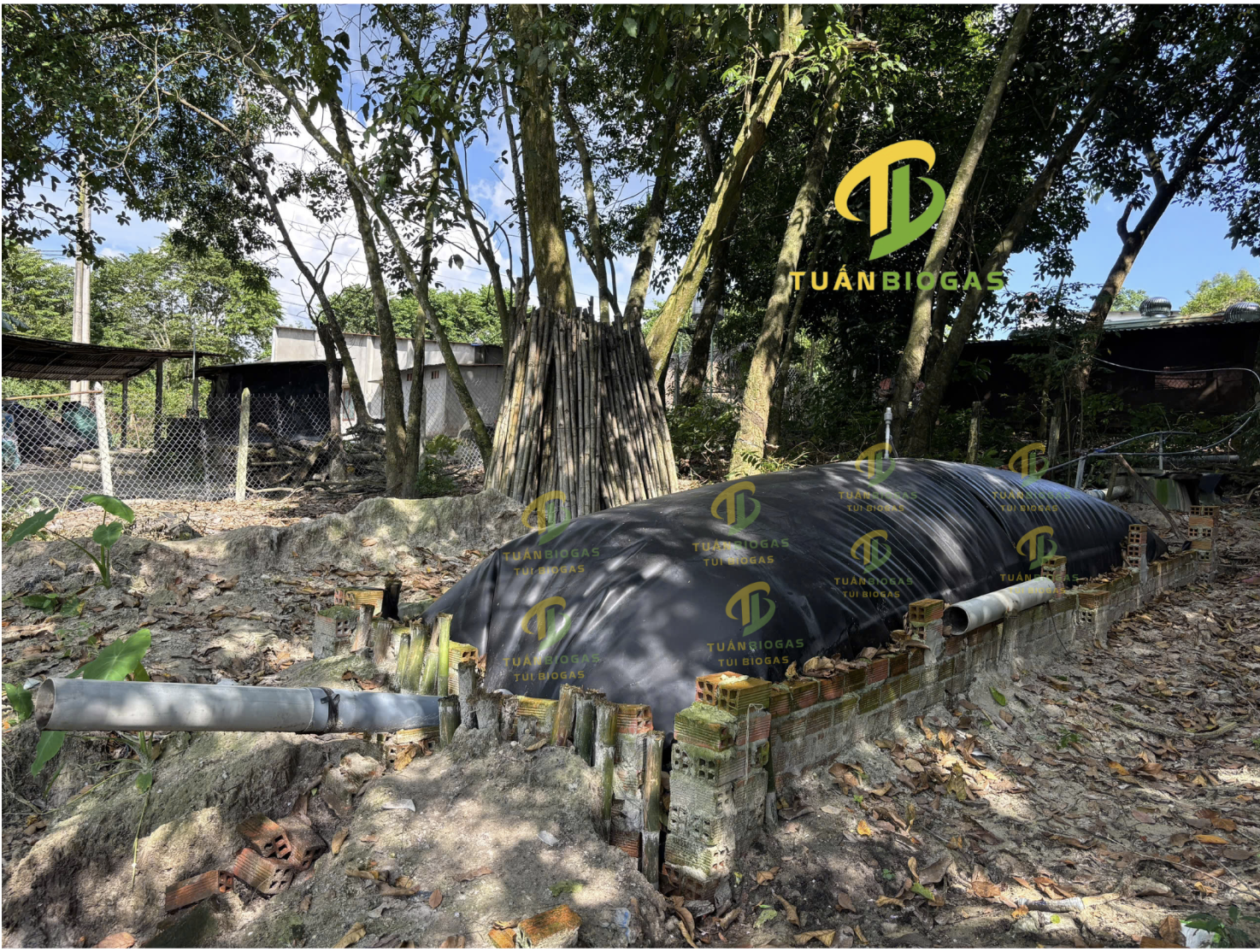 biogas